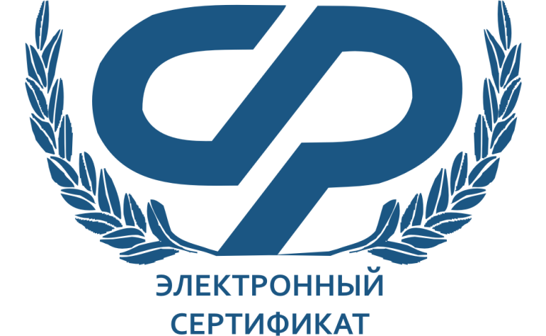 Электронный сертификат на ТСР: подробная инструкция по оформлению